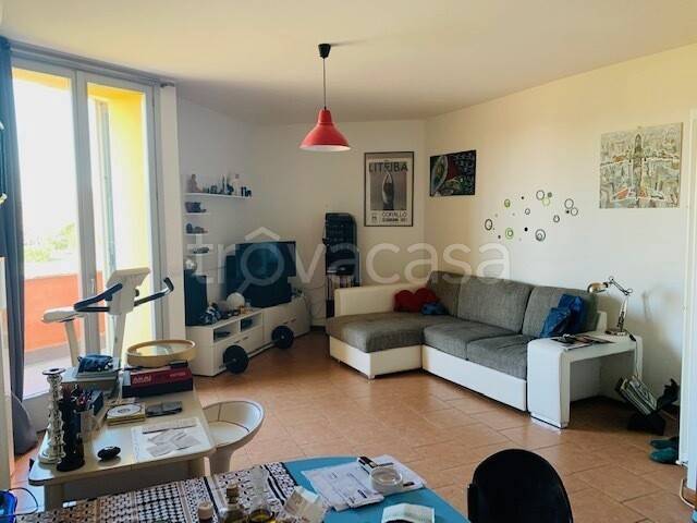 immagine annuncio 9 di 15