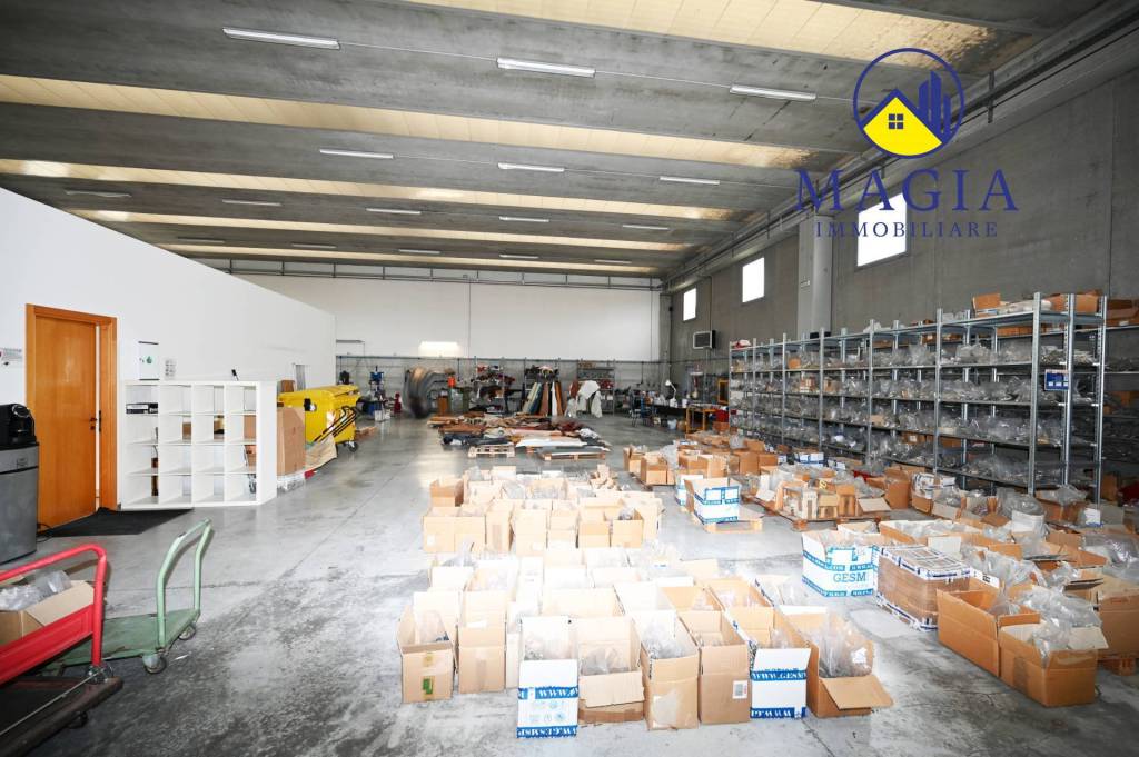 immagine annuncio 3 di 13