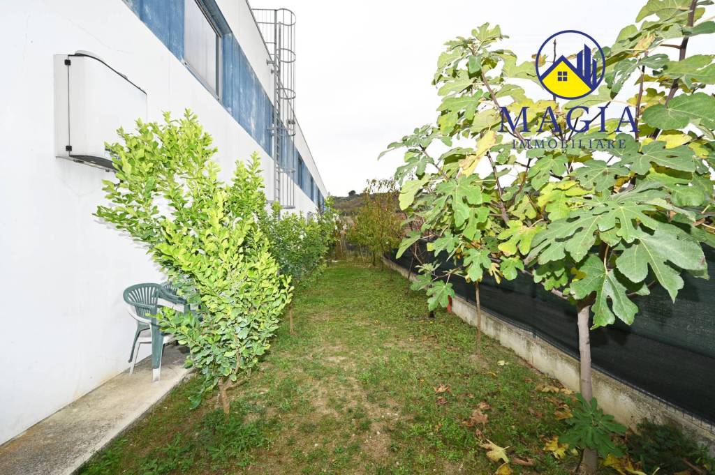 immagine annuncio 9 di 13