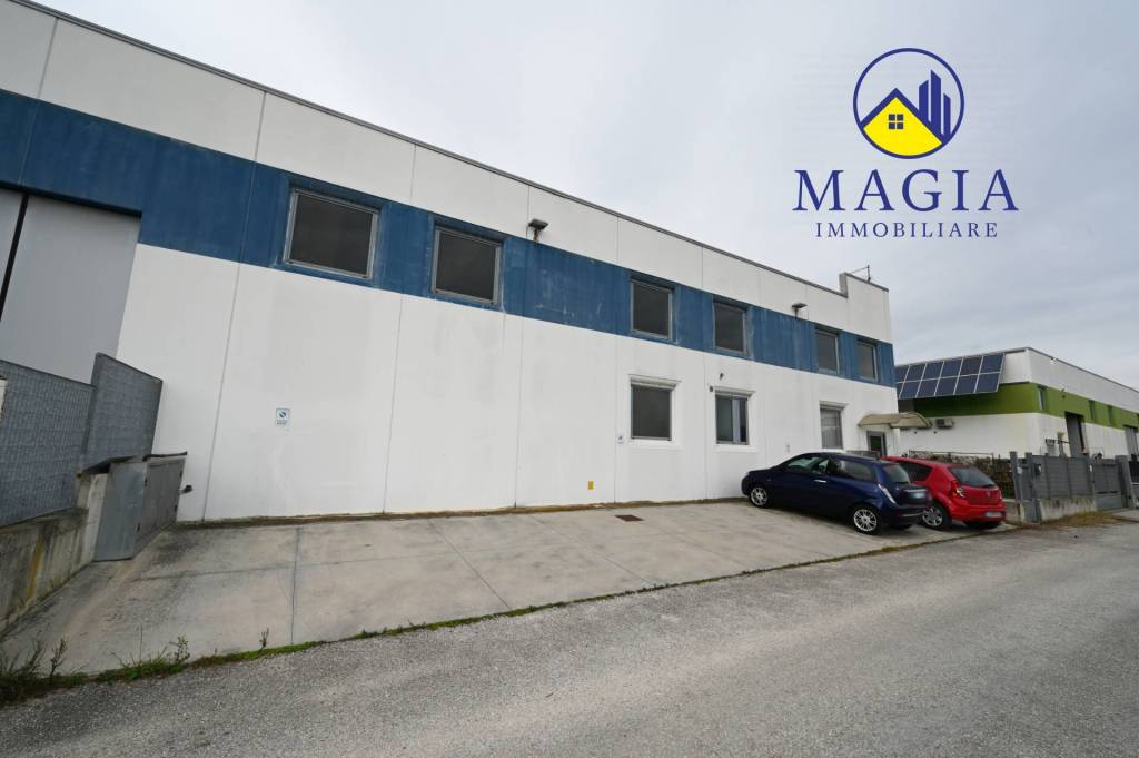 immagine annuncio 12 di 13