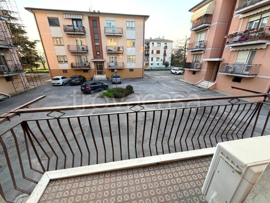 immagine annuncio 6 di 14