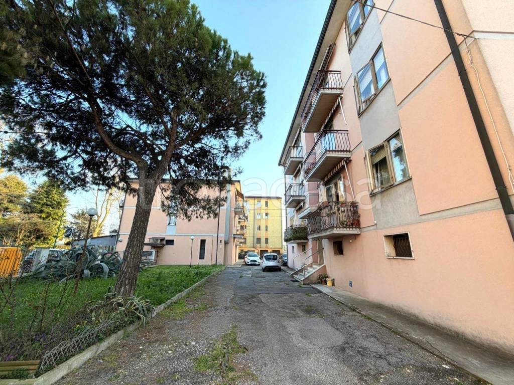 immagine annuncio 1 di 14