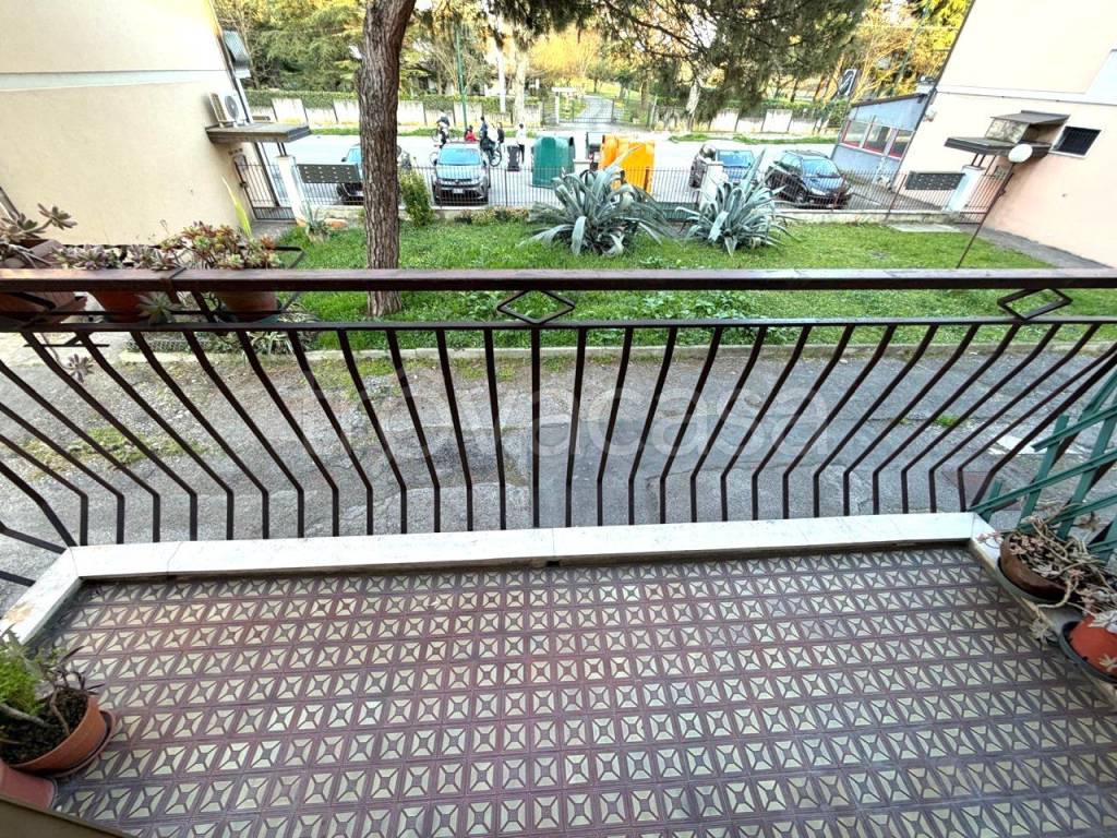 immagine annuncio 3 di 14