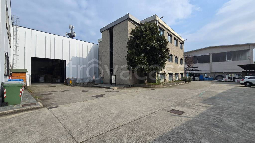 immagine annuncio 4 di 15