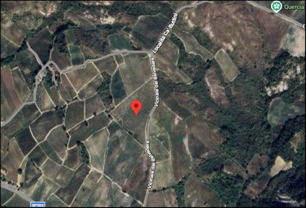 immagine annuncio 10 di 11