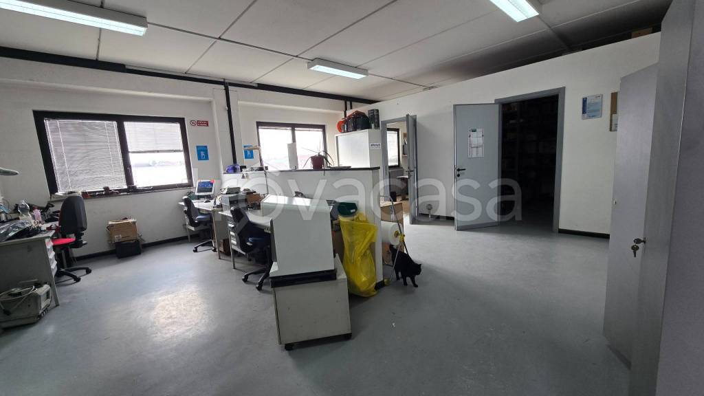 immagine annuncio 13 di 15