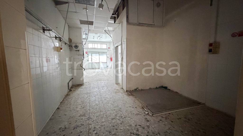 immagine annuncio 5 di 12