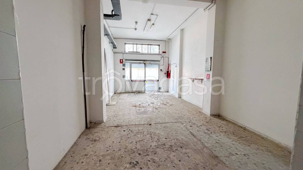 immagine annuncio 8 di 12