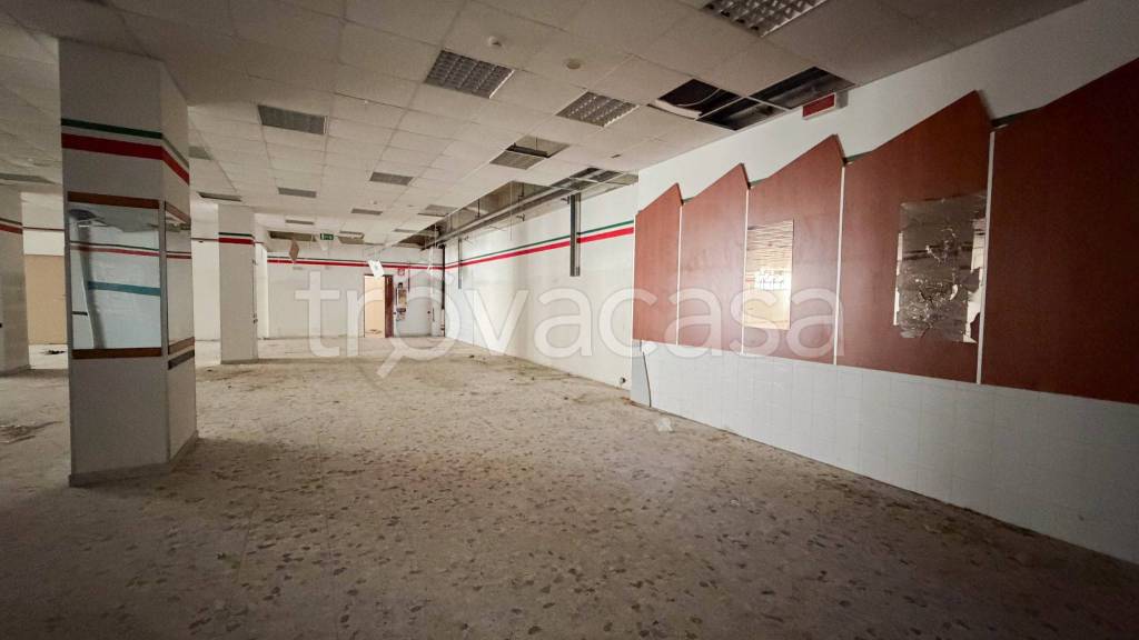 immagine annuncio 9 di 12