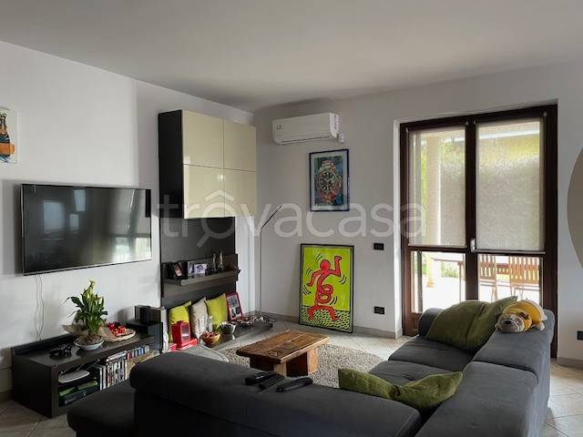 immagine annuncio 11 di 15