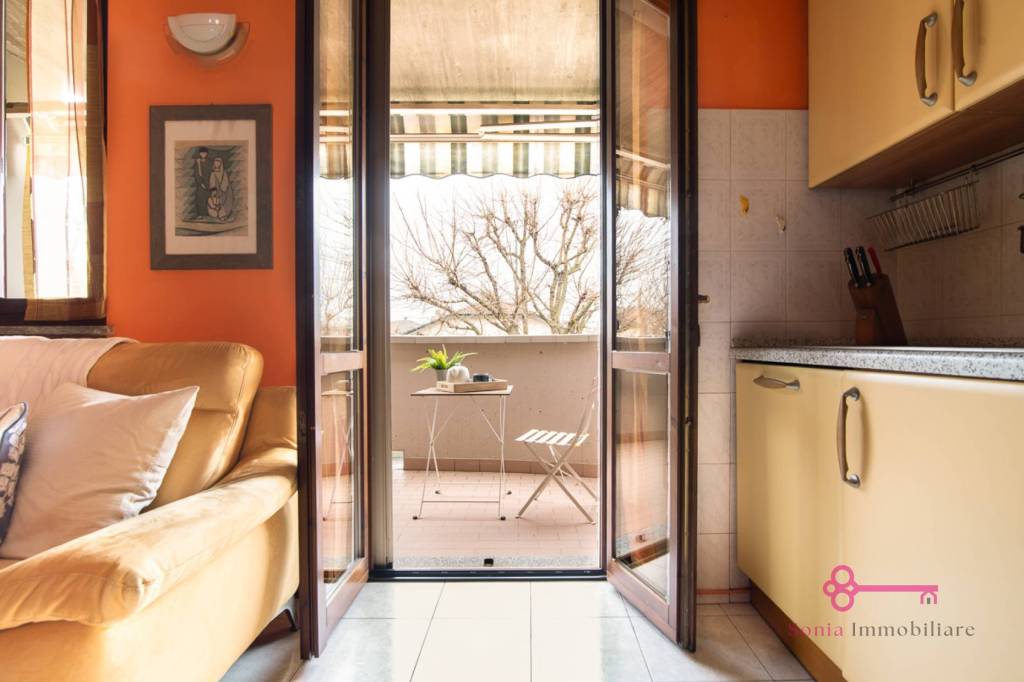 immagine annuncio 5 di 15