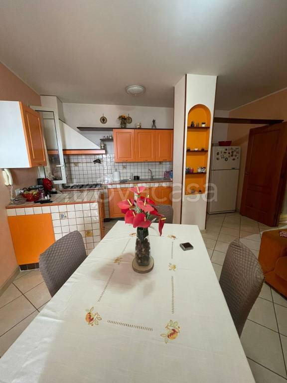 immagine annuncio 2 di 12