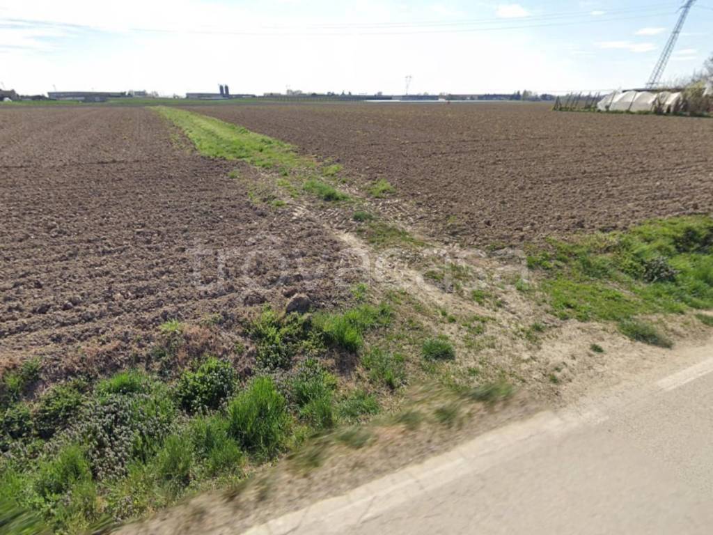 immagine annuncio 4 di 7