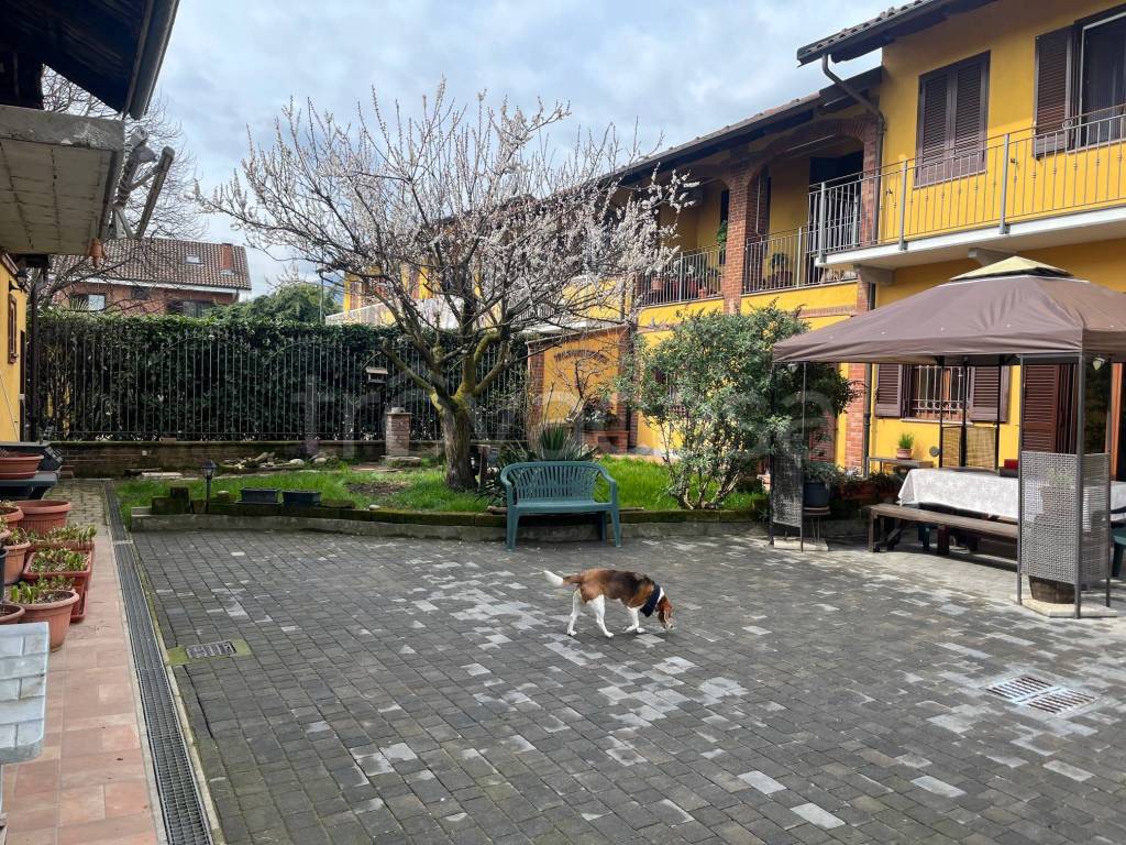 immagine annuncio 11 di 15