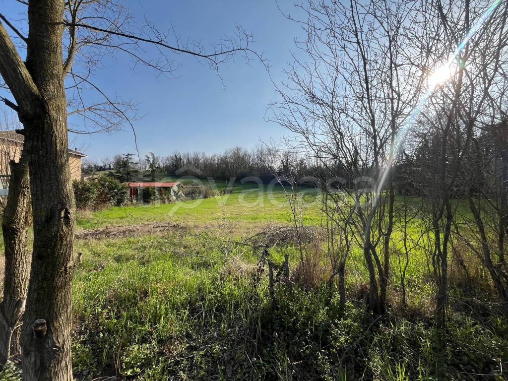 immagine annuncio 8 di 13