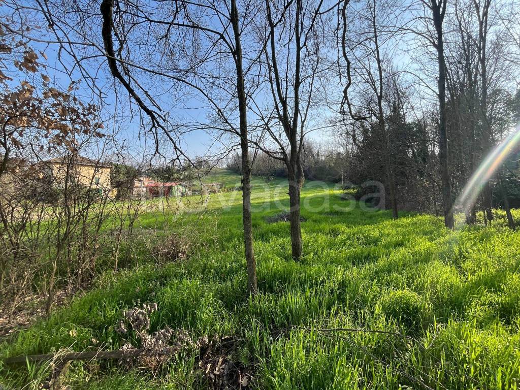 immagine annuncio 9 di 13