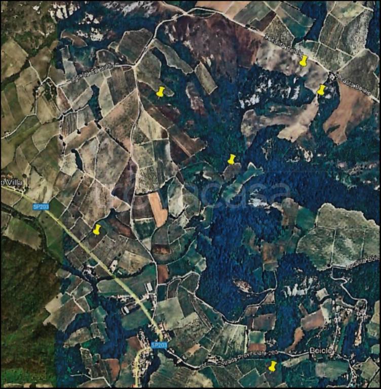 immagine annuncio 11 di 12