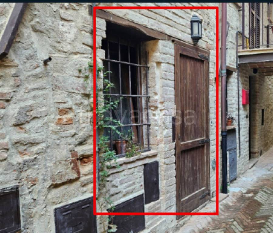 immagine annuncio 1 di 11