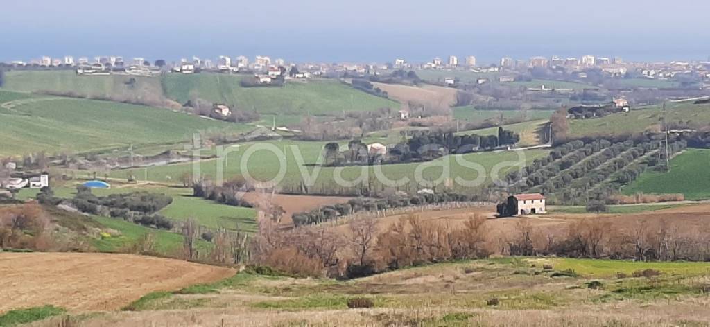 immagine annuncio 6 di 14
