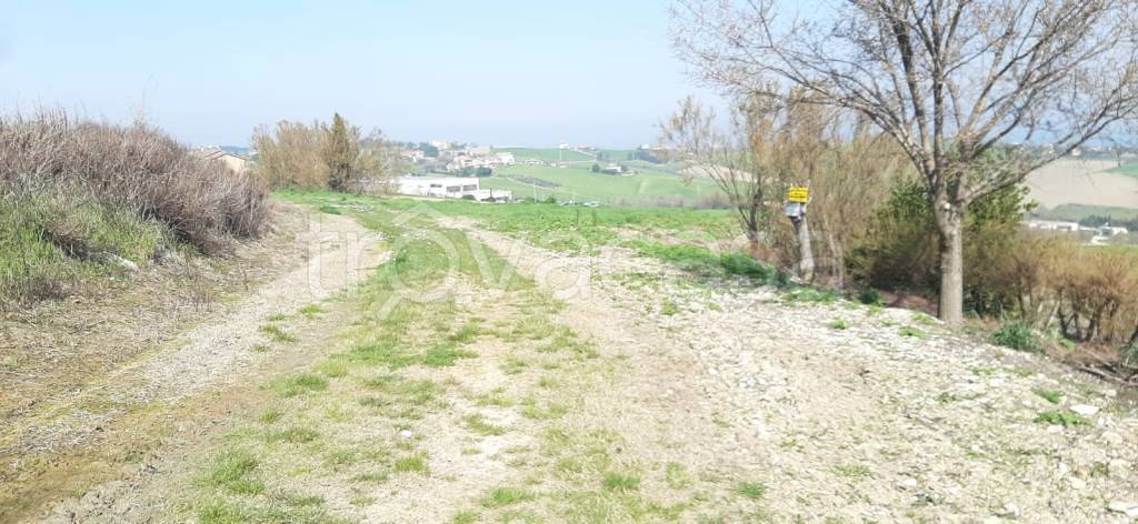 immagine annuncio 3 di 4