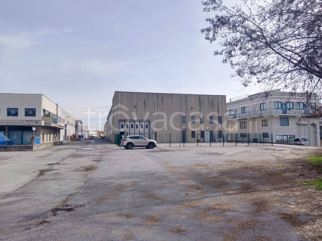 immagine annuncio 2 di 14