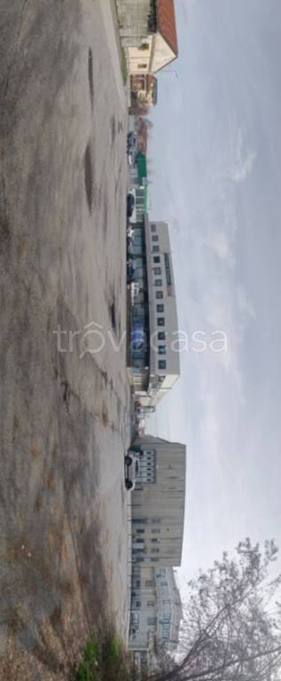 immagine annuncio 3 di 14