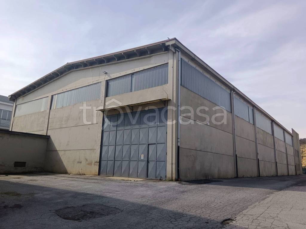 immagine annuncio 4 di 14