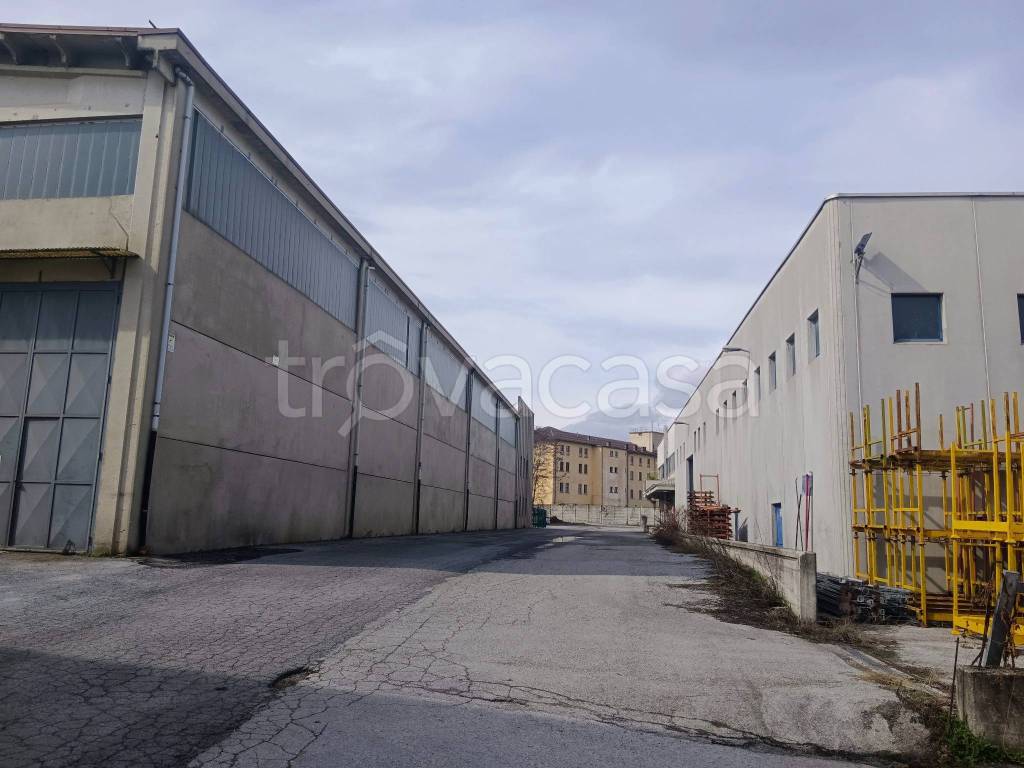 immagine annuncio 5 di 14