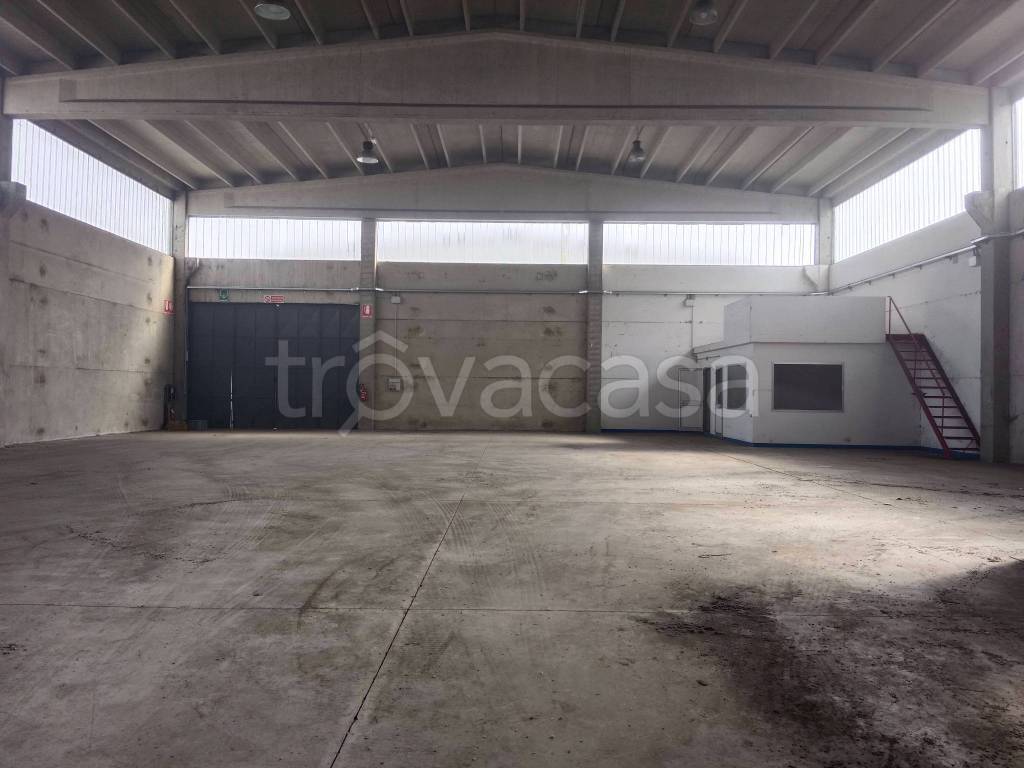 immagine annuncio 6 di 14