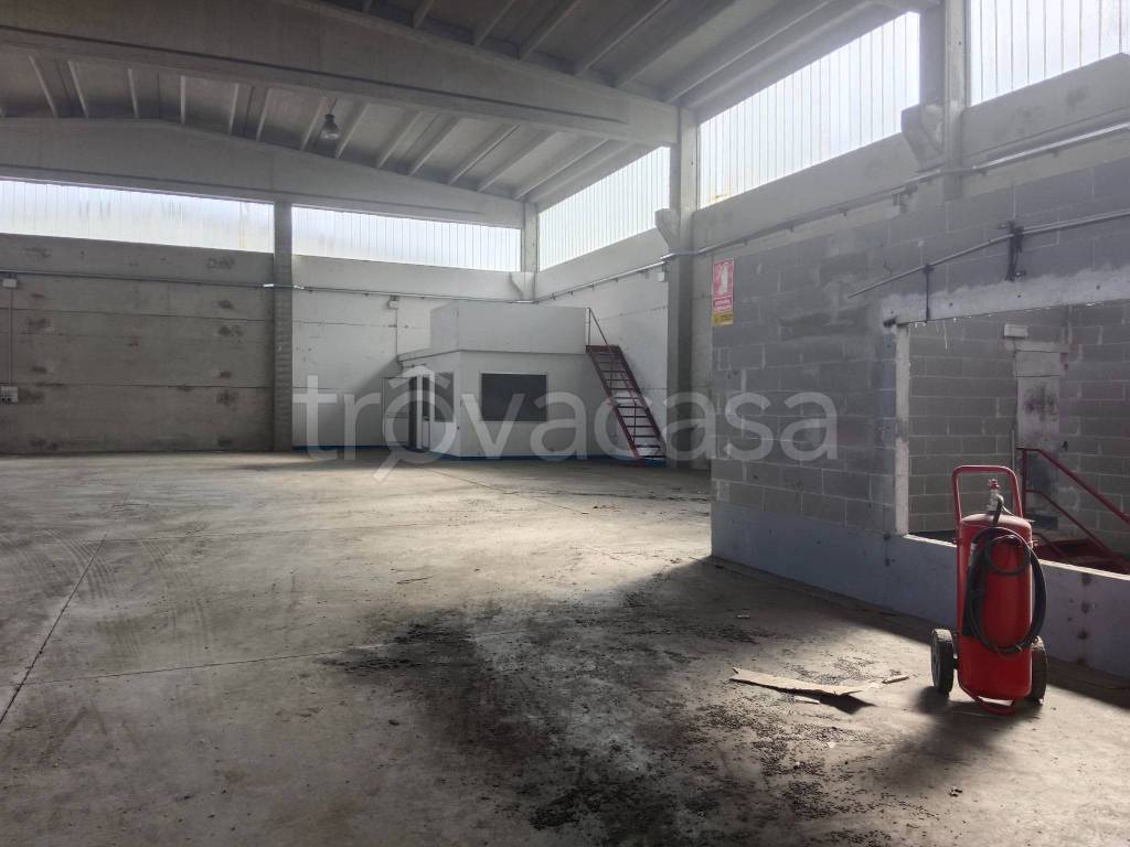 immagine annuncio 7 di 14