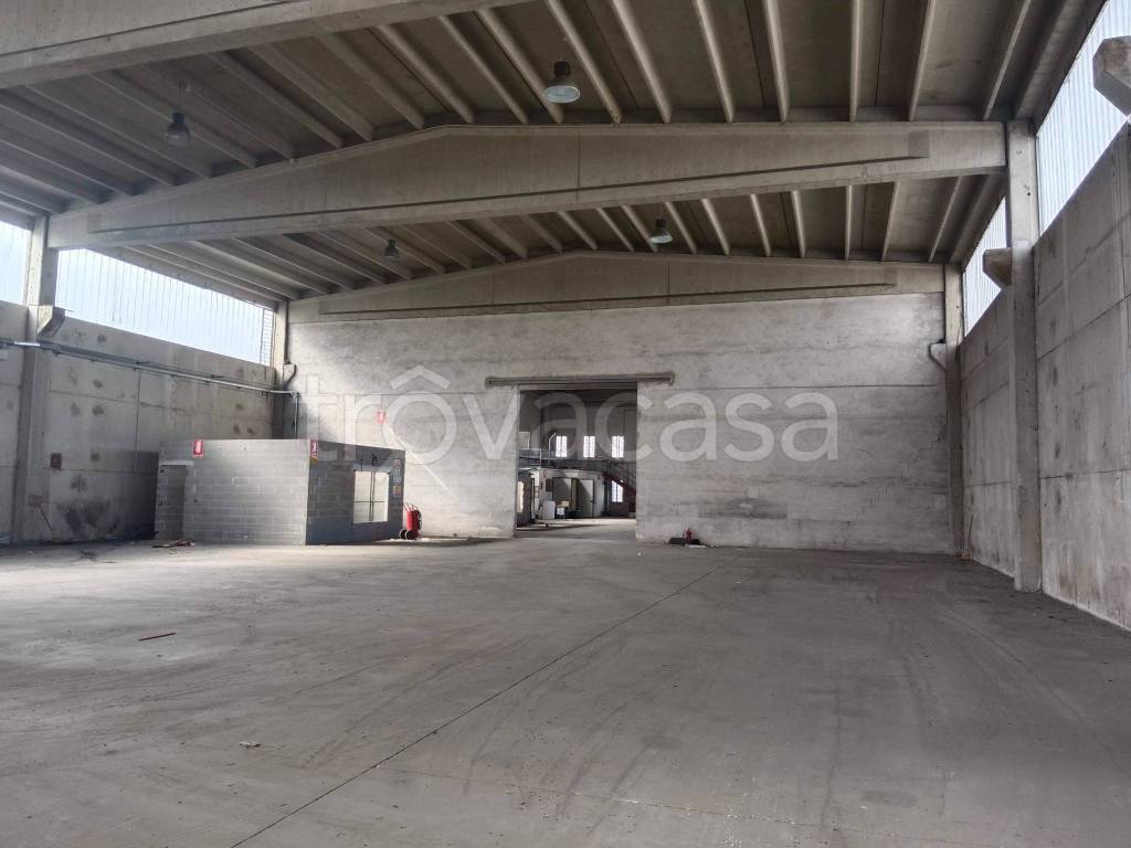 immagine annuncio 9 di 14