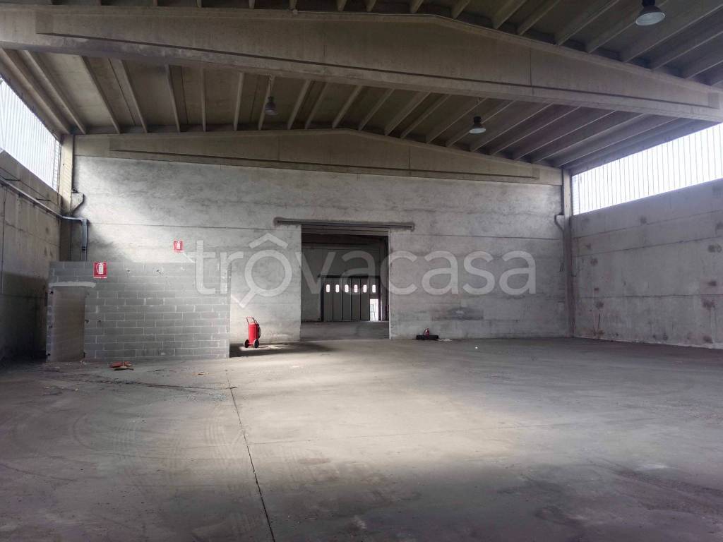 immagine annuncio 13 di 14