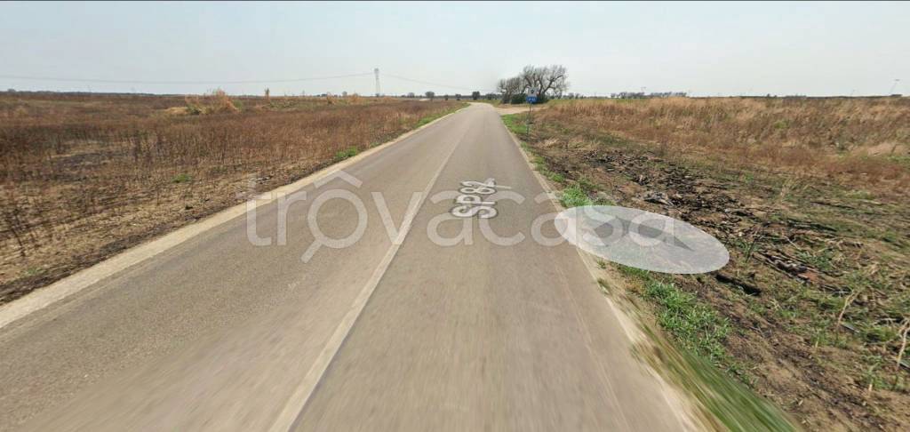 immagine annuncio 3 di 11