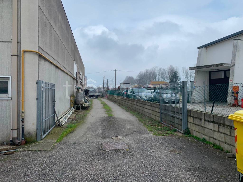 immagine annuncio 2 di 5