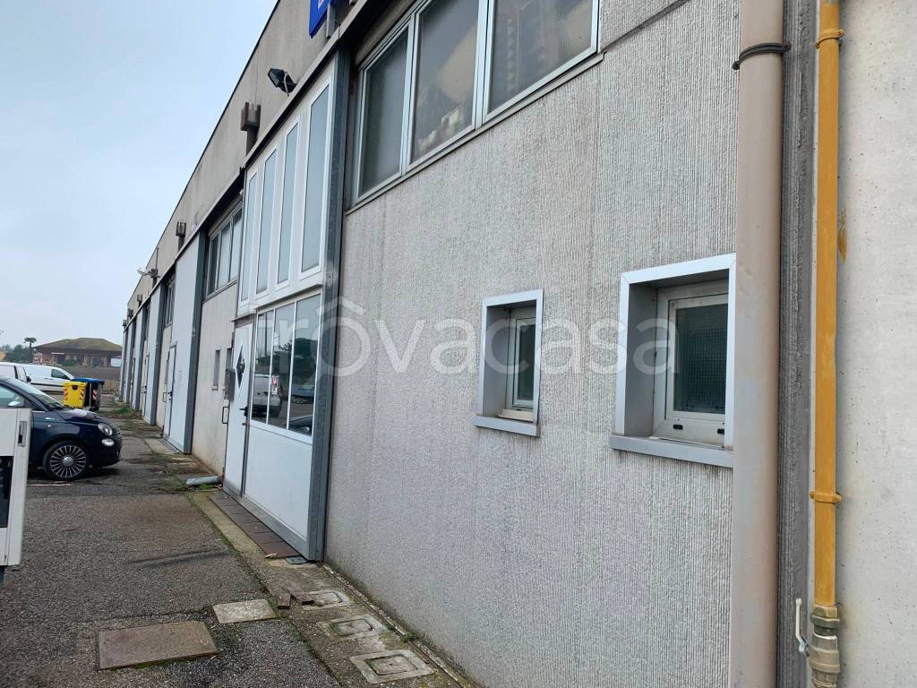 immagine annuncio 3 di 5