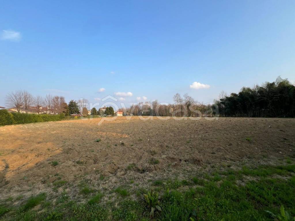 immagine annuncio 5 di 8