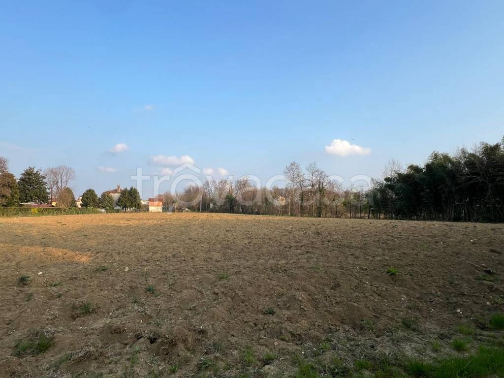 immagine annuncio 6 di 8