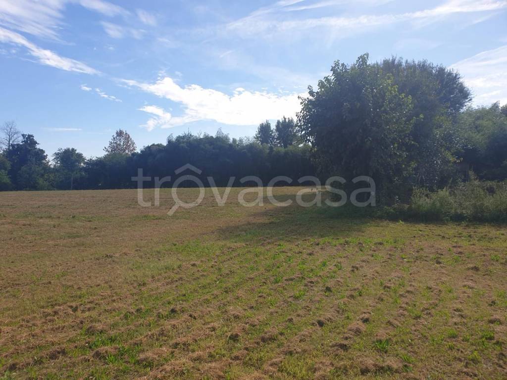 immagine annuncio 7 di 8