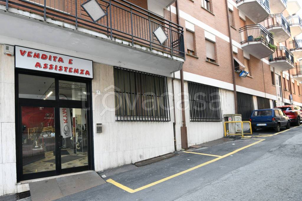 immagine annuncio 5 di 15