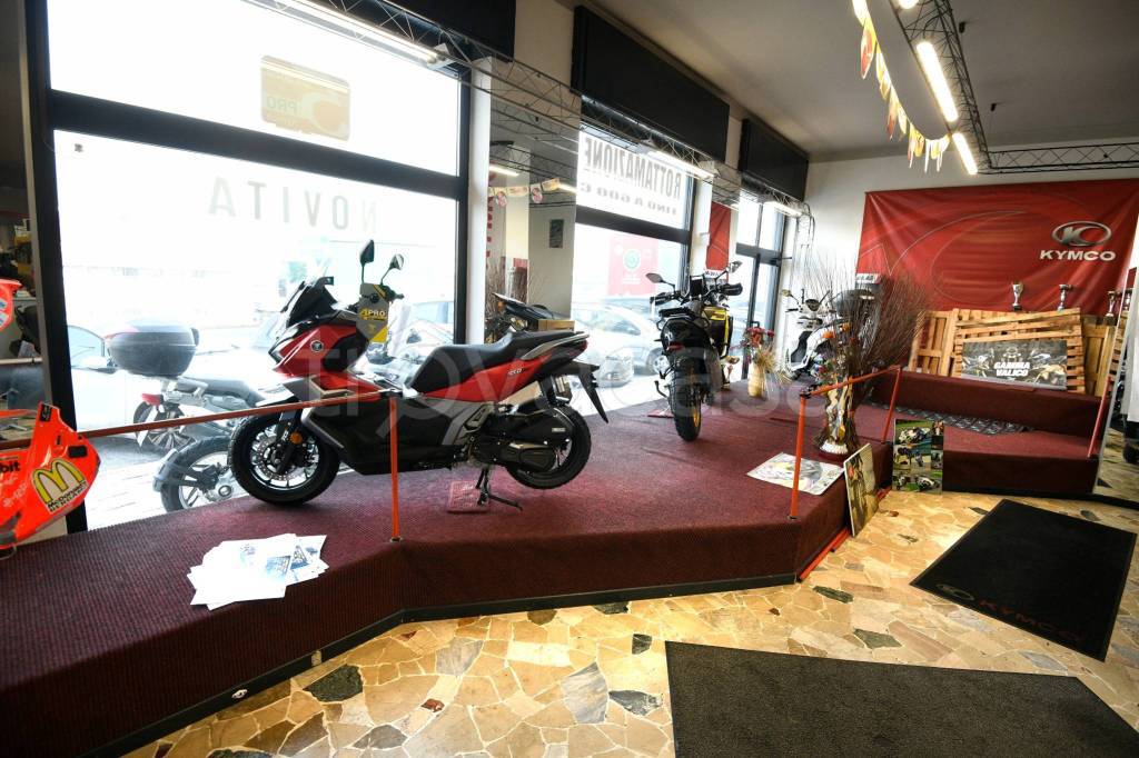 immagine annuncio 8 di 15