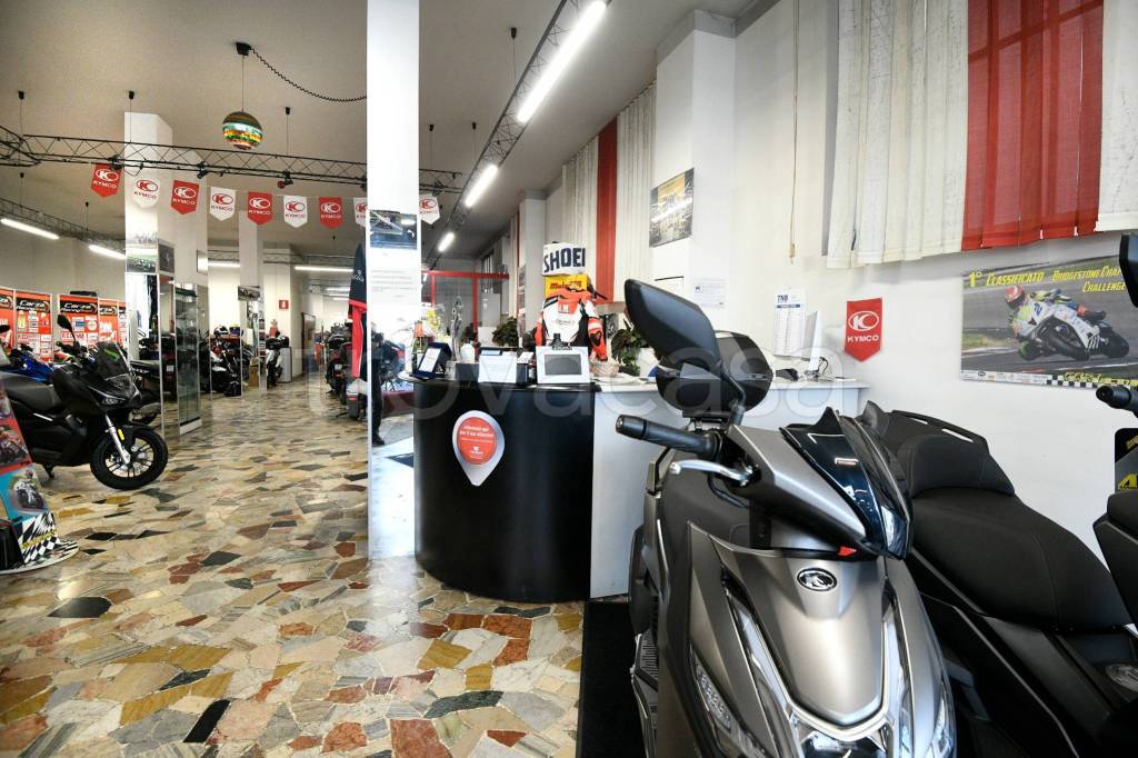 immagine annuncio 10 di 15