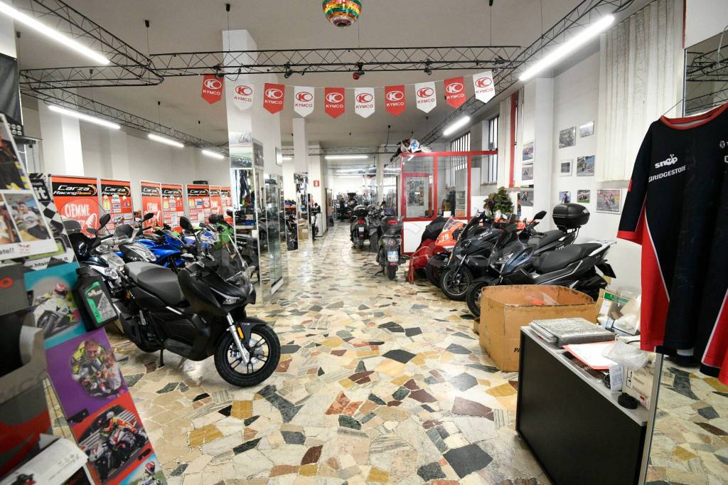 immagine annuncio 12 di 15