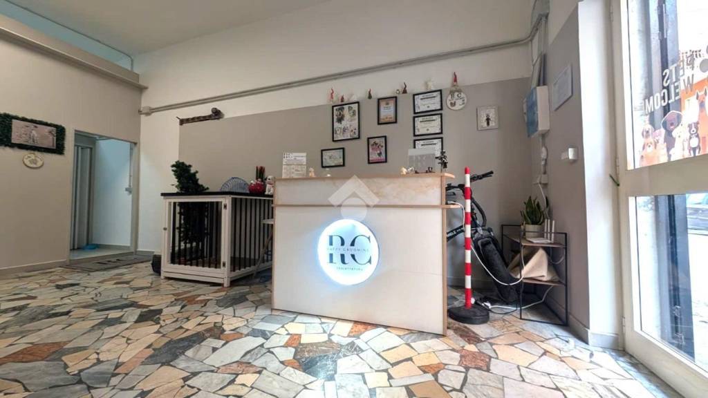 immagine annuncio 7 di 10