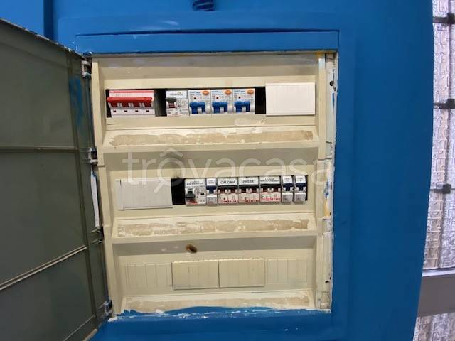 immagine annuncio 9 di 12