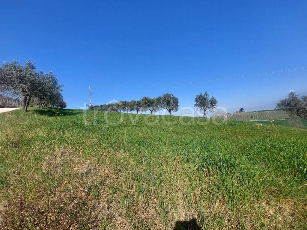 immagine annuncio 8 di 15