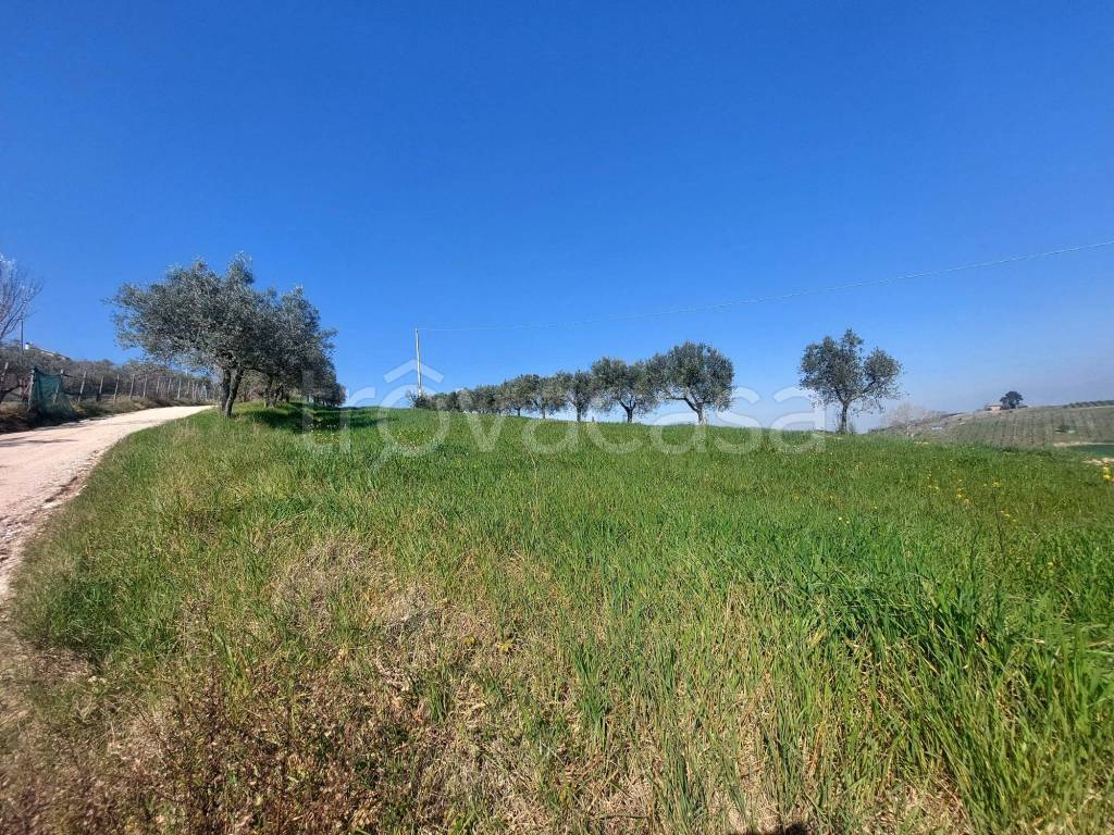 immagine annuncio 12 di 15