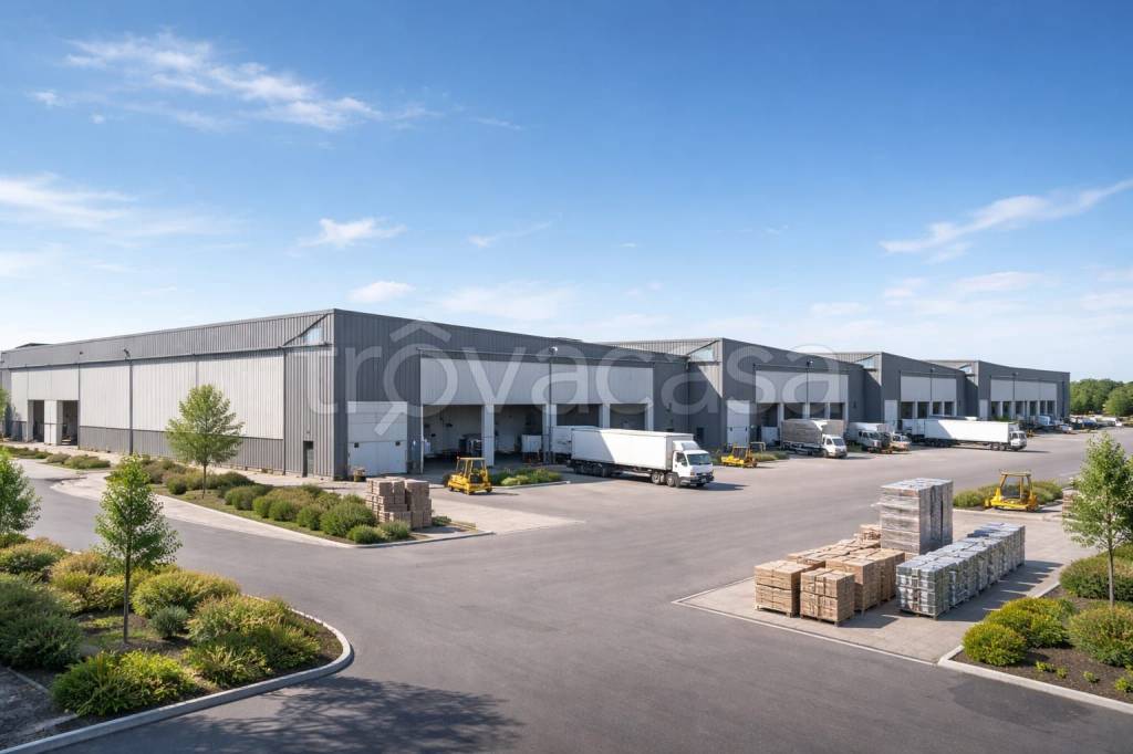 immagine annuncio 2 di 7