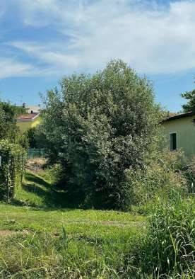 immagine annuncio 2 di 7