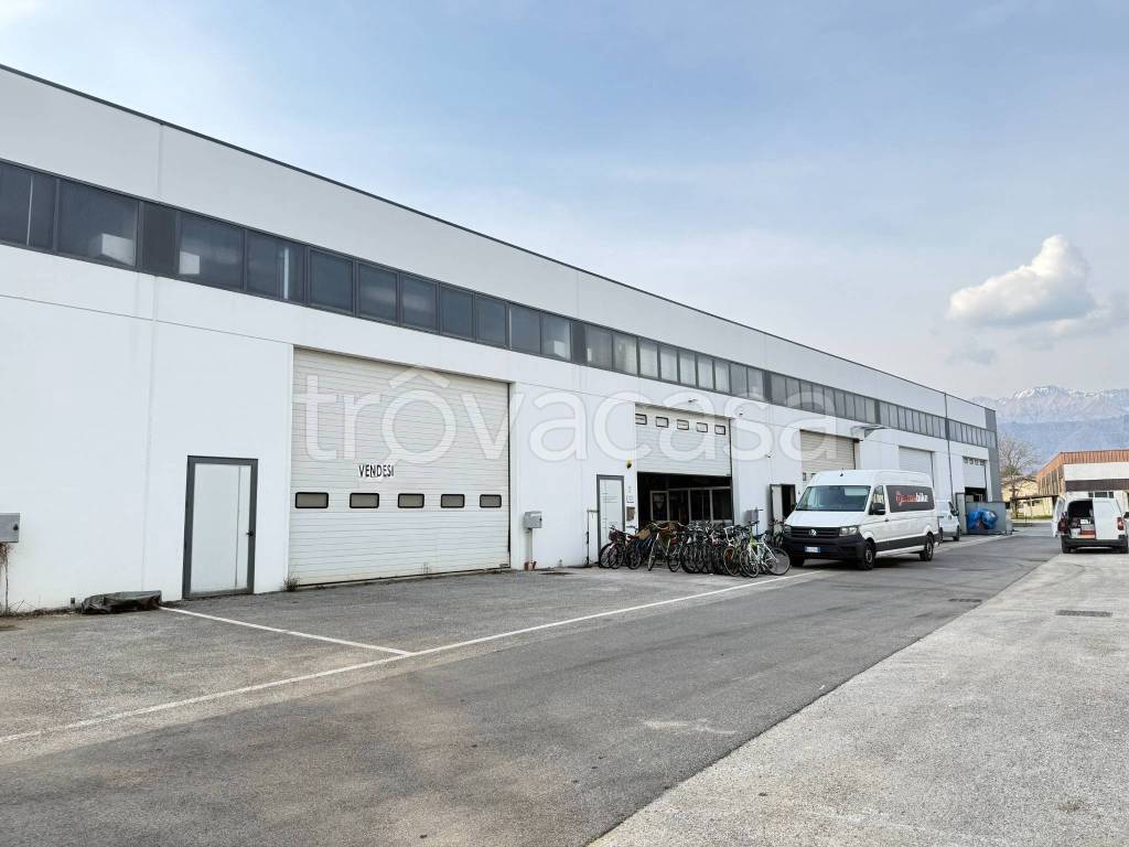 immagine annuncio 8 di 11