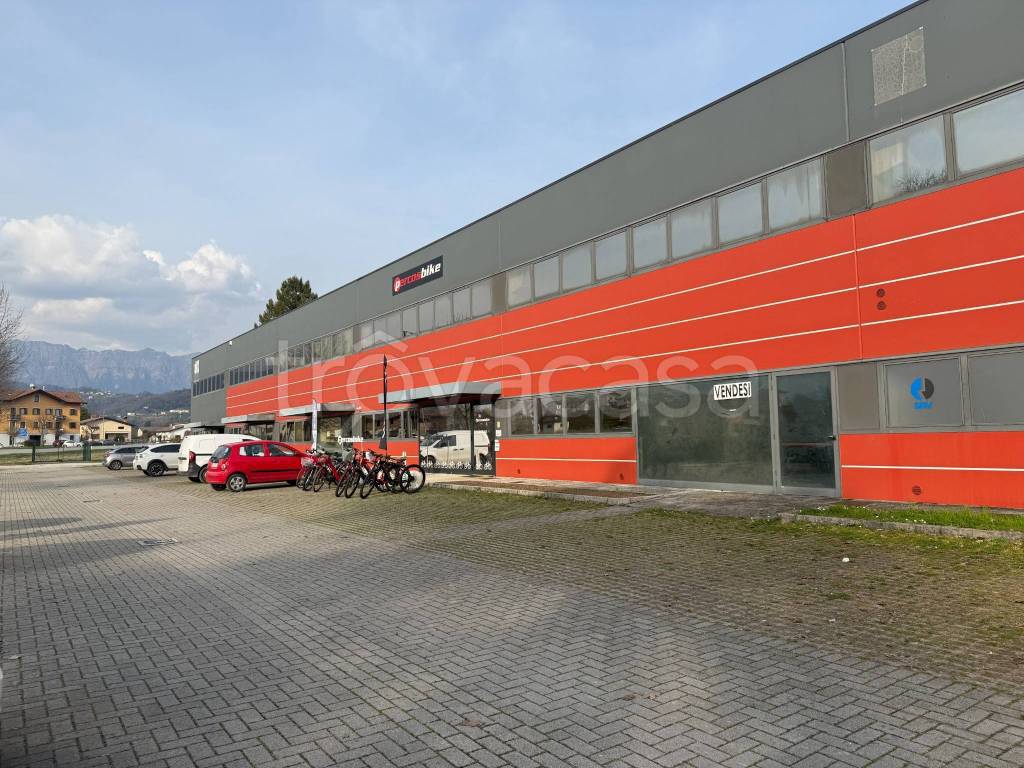 immagine annuncio 9 di 11